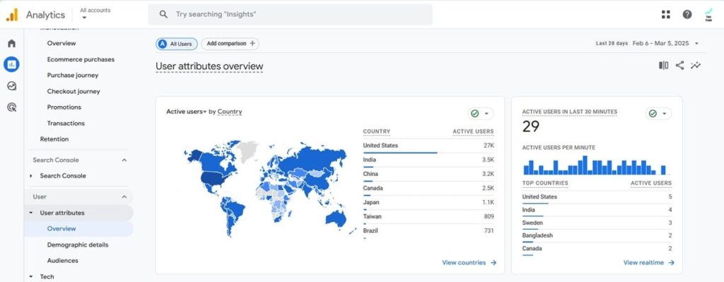 google analytics User Demographics